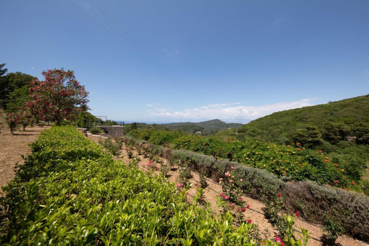 Agallis Corfu Residence Szokráki Kültér fotó